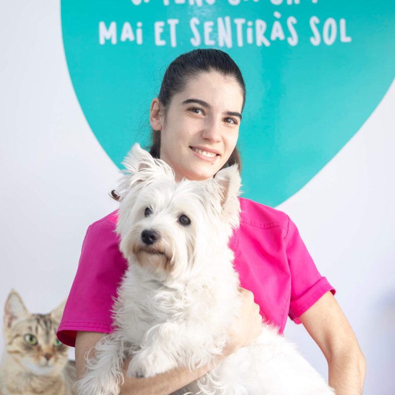 DOSVET-ATV-Anna DOSVET-ATV-Anna