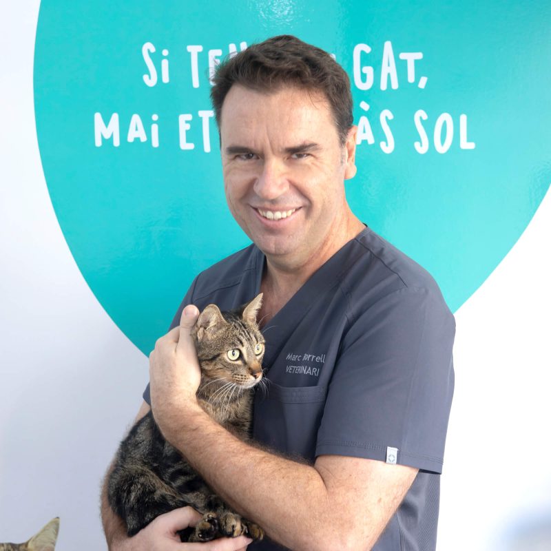 Marc Borrell, veterinario de Dosvet con gato